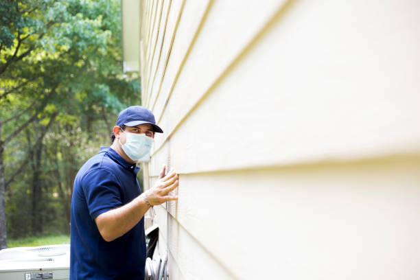 Affordable Siding Repair and Maintenance Services in South Shore, KY